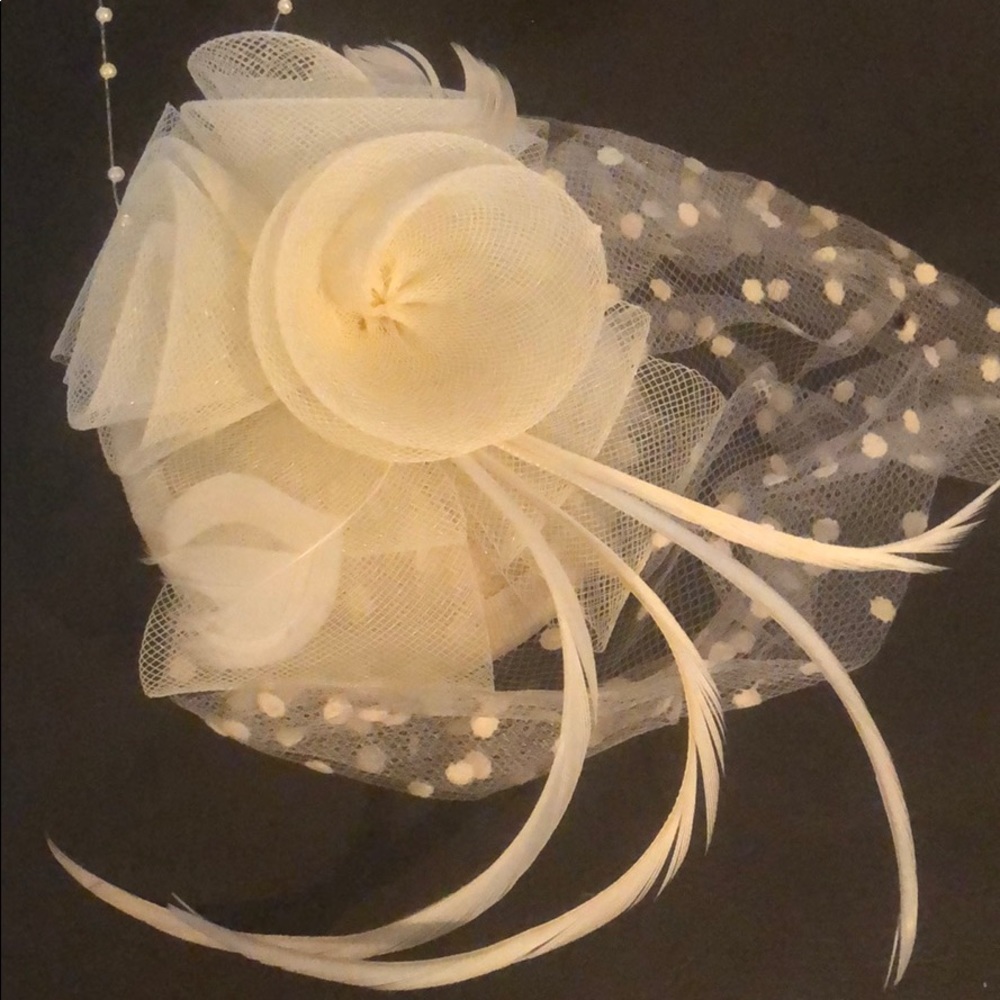 Birdcage Veil. NEW!!! Gorgeous!